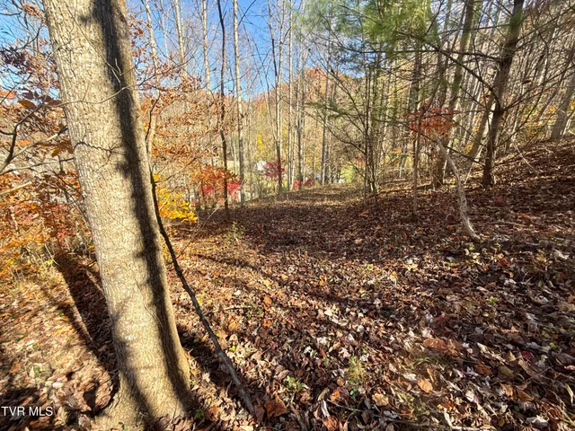 $125,000 | 37 (hwy 19e) Hampton Tn 37658, Hampton, TN 37658