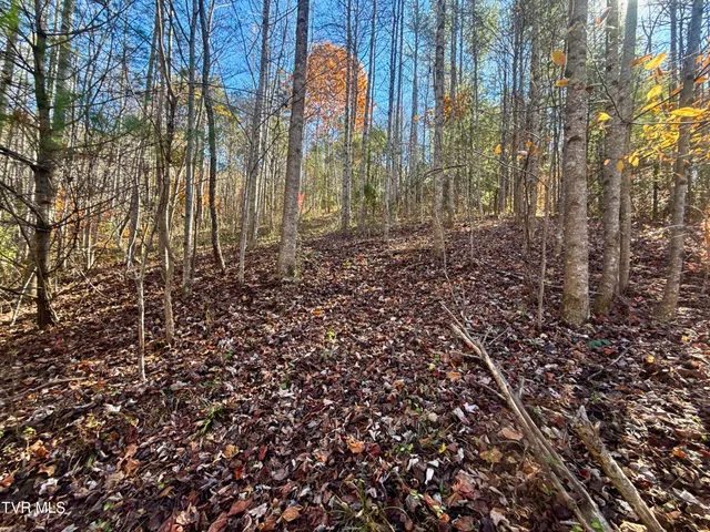 $125,000 | 37 (hwy 19e) Hampton Tn 37658, Hampton, TN 37658