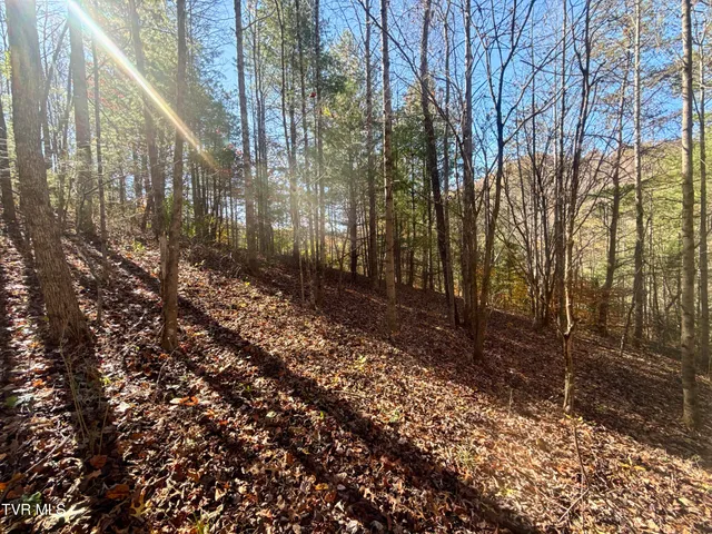 $125,000 | 37 (hwy 19e) Hampton Tn 37658, Hampton, TN 37658