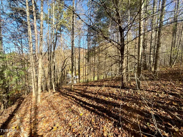 $125,000 | 37 (hwy 19e) Hampton Tn 37658, Hampton, TN 37658