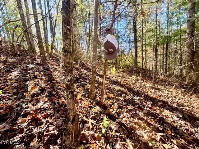 $125,000 | 37 (hwy 19e) Hampton Tn 37658, Hampton, TN 37658