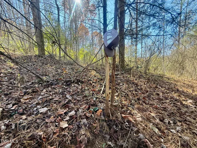 $125,000 | 37 (hwy 19e) Hampton Tn 37658, Hampton, TN 37658