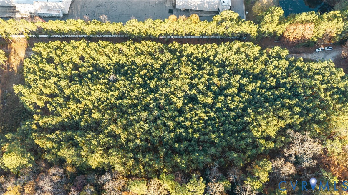 2908 Mountclair Road Chester, VA 23831 - Photo 11 of 17 a view of a yard with a tree