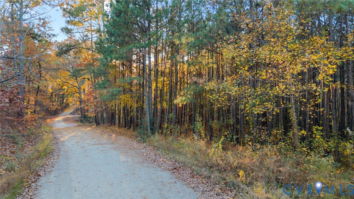 2908 Mountclair Road Chester, VA 23831 - Photo 16 of 17 a view of a forest with trees in the background