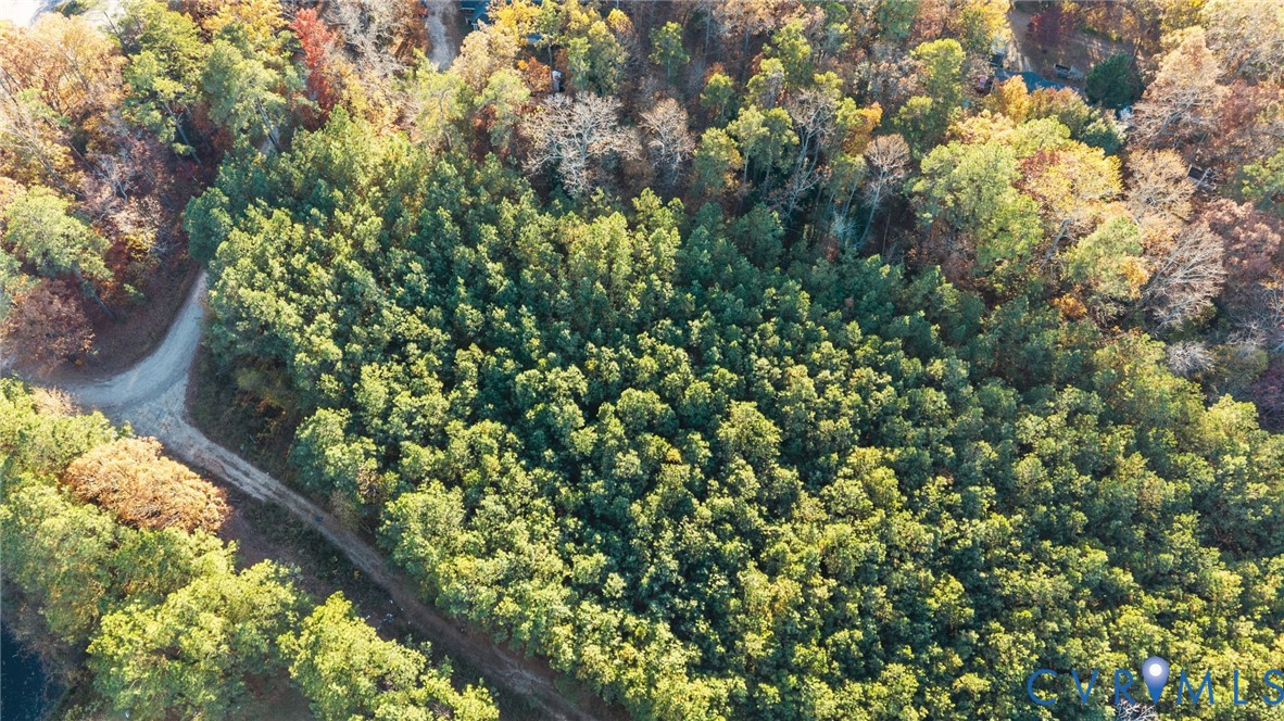 2908 Mountclair Road Chester, VA 23831 - Photo 3 of 17 a view of a tree with a plant