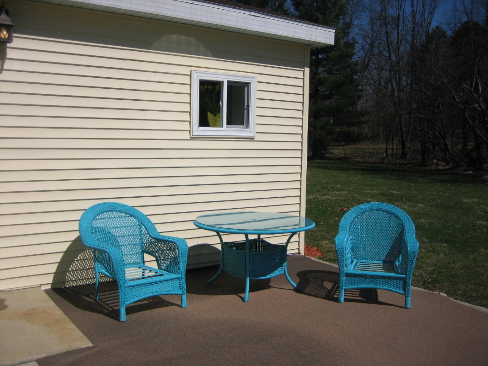 7458 10 Mile Road Ceresco, MI 49033 - Photo 23 of 27 patio