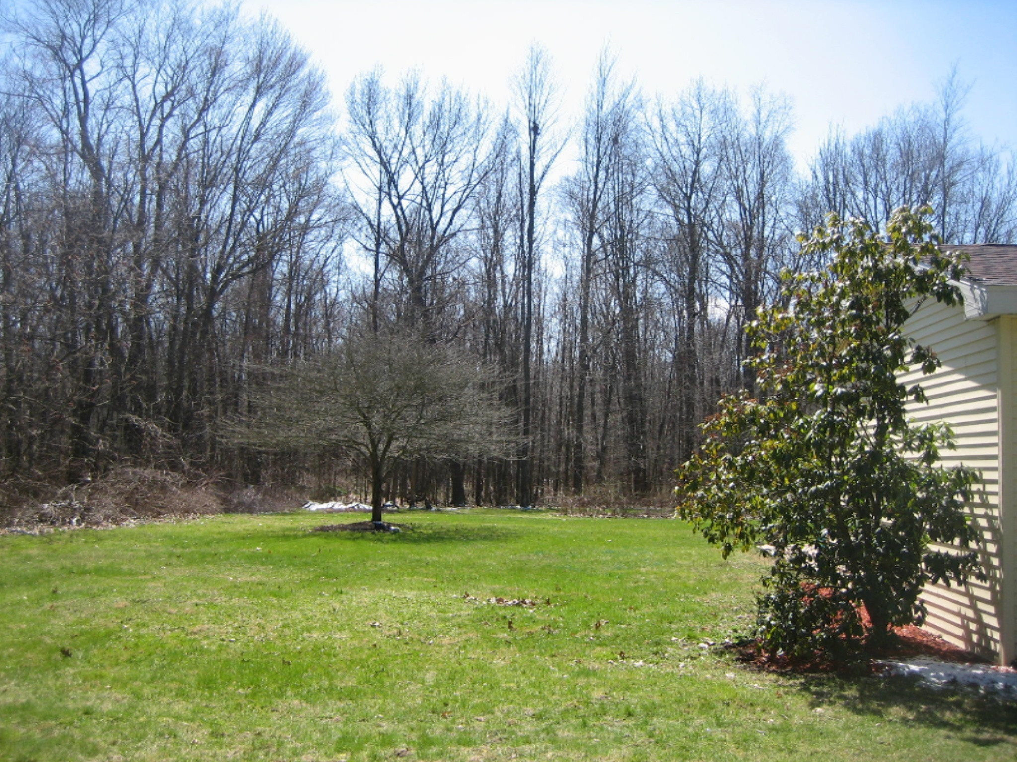 7458 10 Mile Road Ceresco, MI 49033 - Photo 25 of 27 side