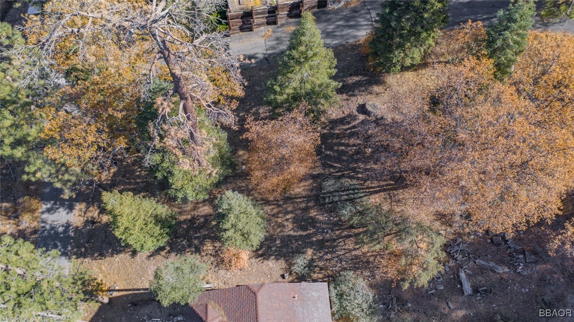 0 Raccoon Drive Fawnskin, CA 92333 - Photo 12 of 14