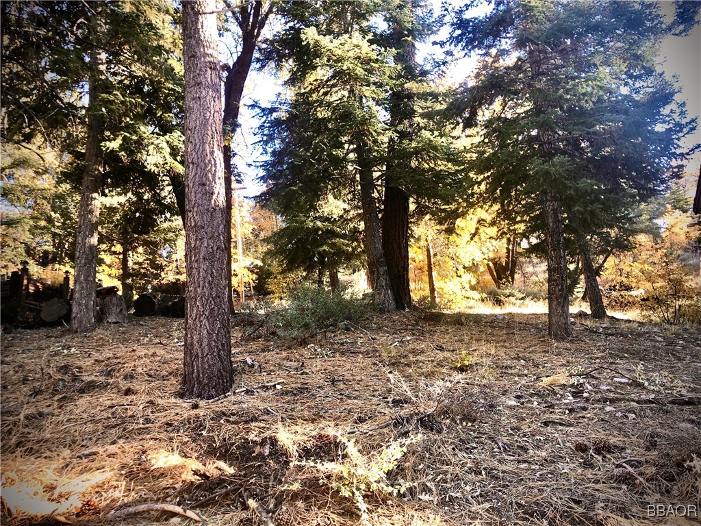 0 Raccoon Drive Fawnskin, CA 92333 - Photo 2 of 14