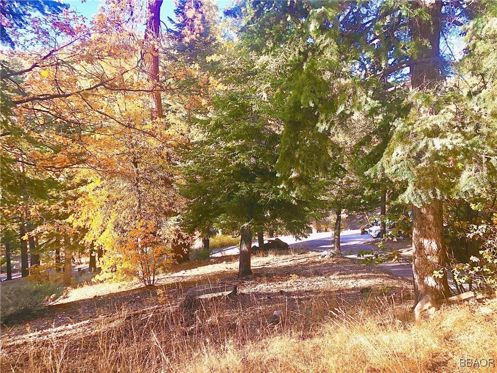 0 Raccoon Drive Fawnskin, CA 92333 - Photo 3 of 14