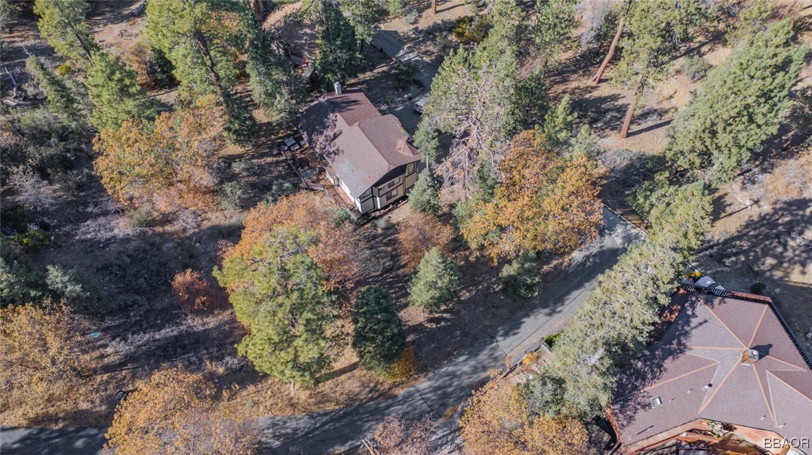 0 Raccoon Drive Fawnskin, CA 92333 - Photo 4 of 14