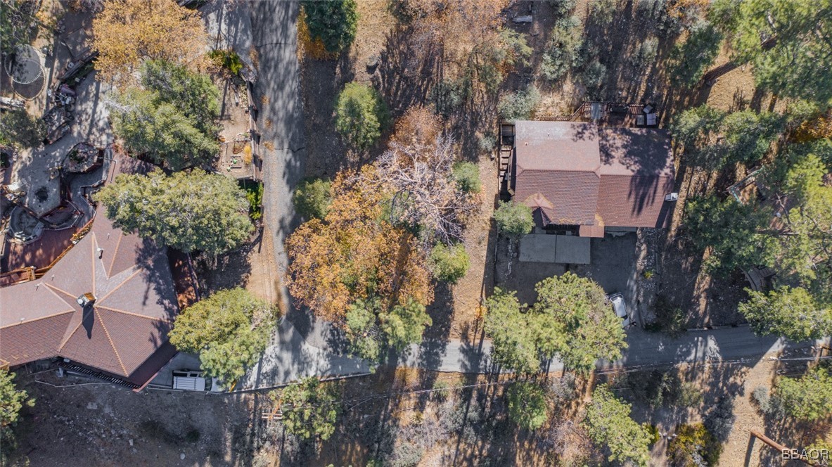 0 Raccoon Drive Fawnskin, CA 92333 - Photo 6 of 14