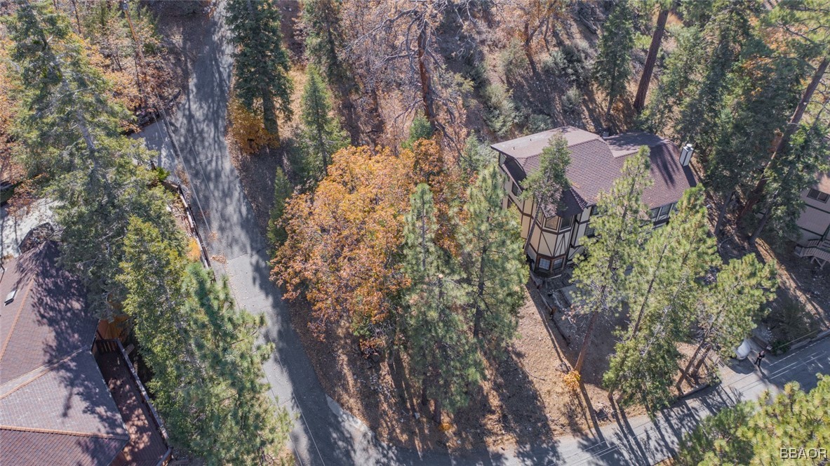 0 Raccoon Drive Fawnskin, CA 92333 - Photo 7 of 14