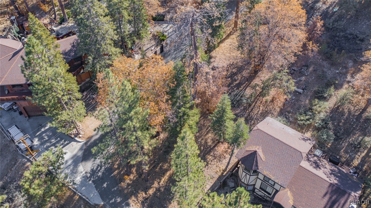 0 Raccoon Drive Fawnskin, CA 92333 - Photo 8 of 14