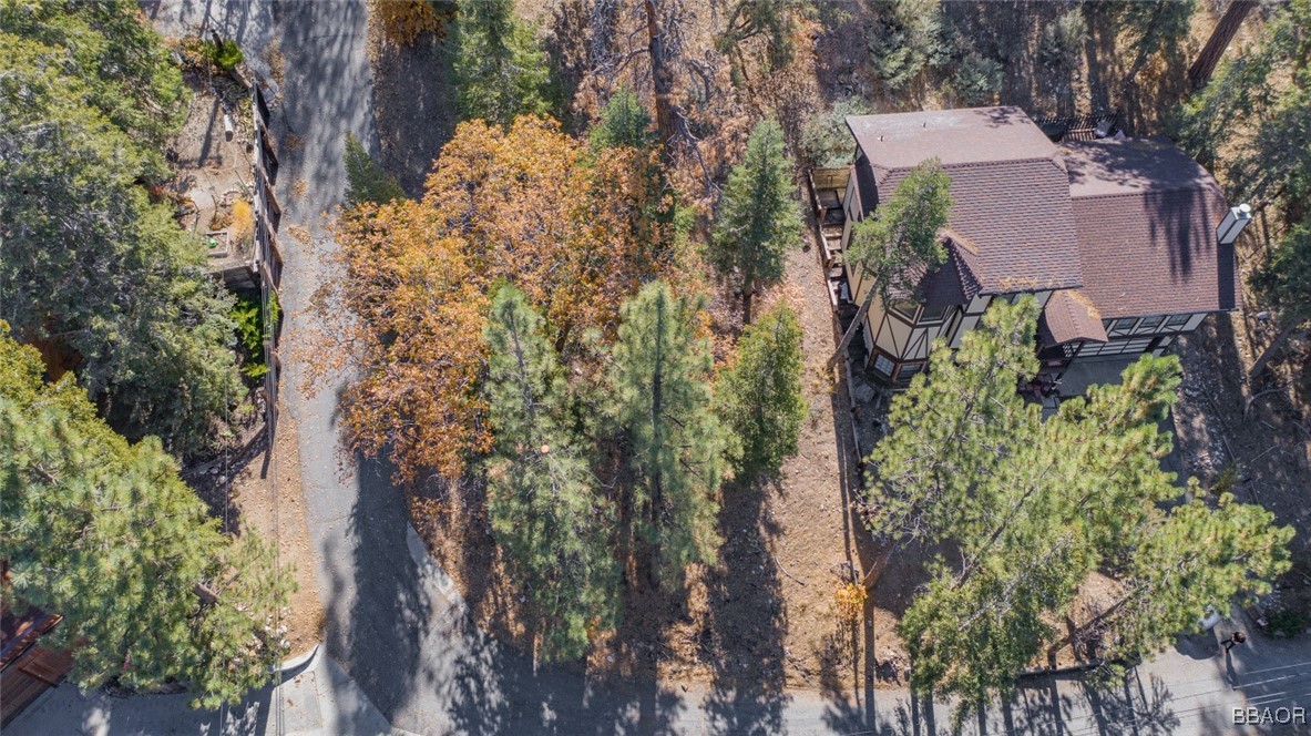 0 Raccoon Drive Fawnskin, CA 92333 - Photo 9 of 14