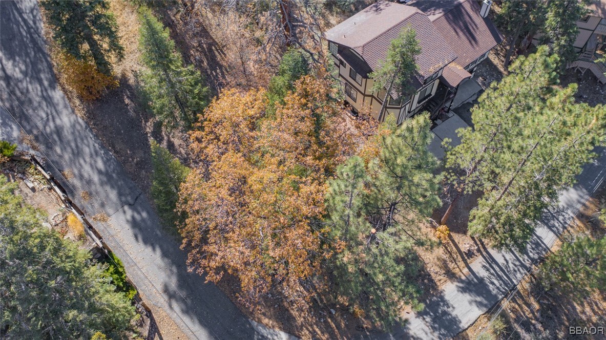 0 Raccoon Drive Fawnskin, CA 92333 - Photo 10 of 14