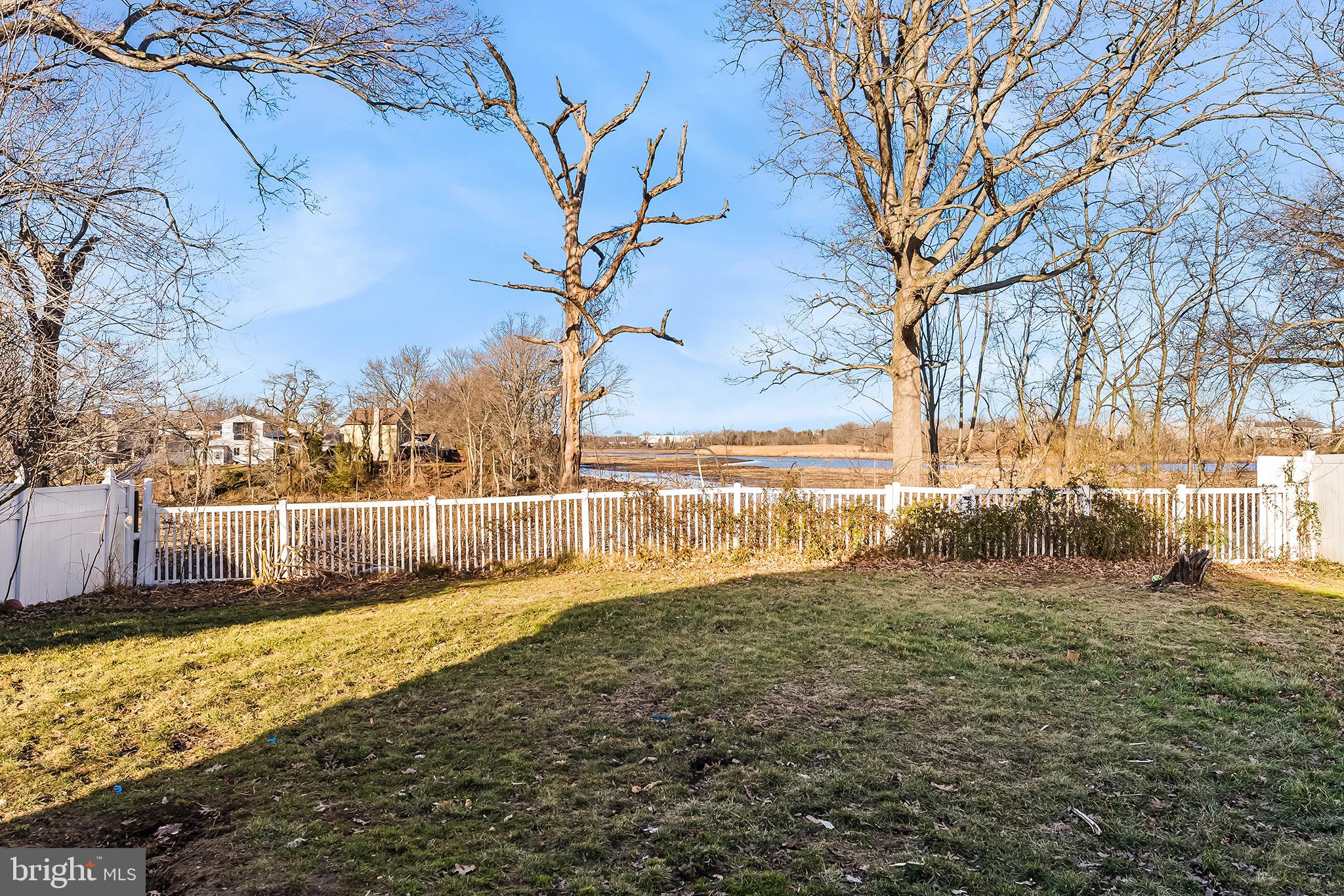 223 Stirrup Road Swedesboro, NJ 08085 - Photo 4 of 30 a view of yard with large trees