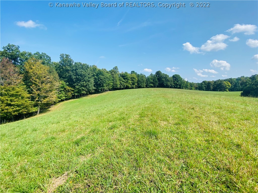 8042 Gay Road Gay, WV 25244 - Photo 38 of 50 Gallery Image 38