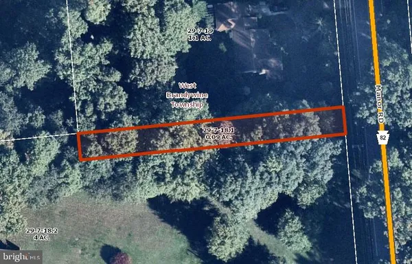 a view of a bunch of flowers