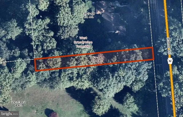 a view of a bunch of flowers