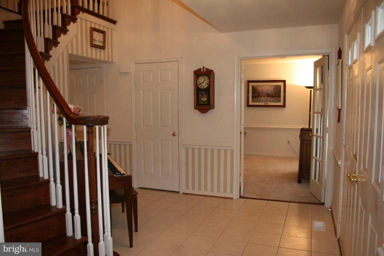 View into Study