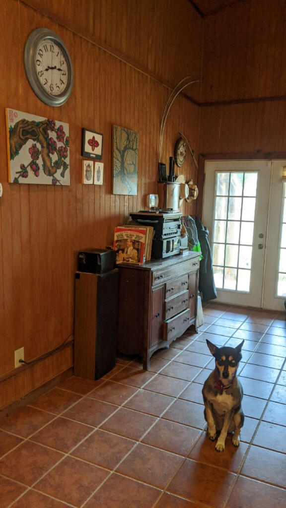 815 Pine Grove Road Ward, SC 29166 - Photo 17 of 22
