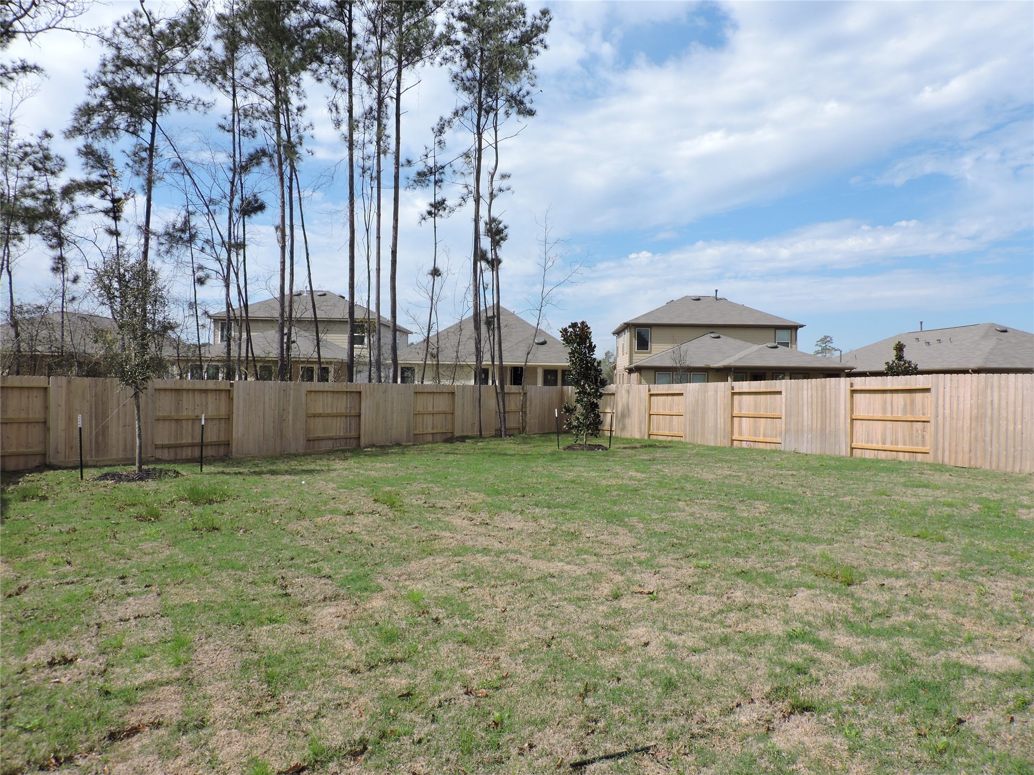 1122 Epworth Ct. Conroe, TX 77304 - Photo 7 of 35 a view of a backyard with large trees