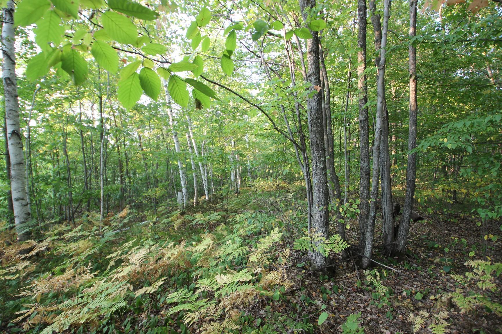 Xxx Fleming Road Bruno, MN 55712 - Photo 1 of 1 Gallery Image 1