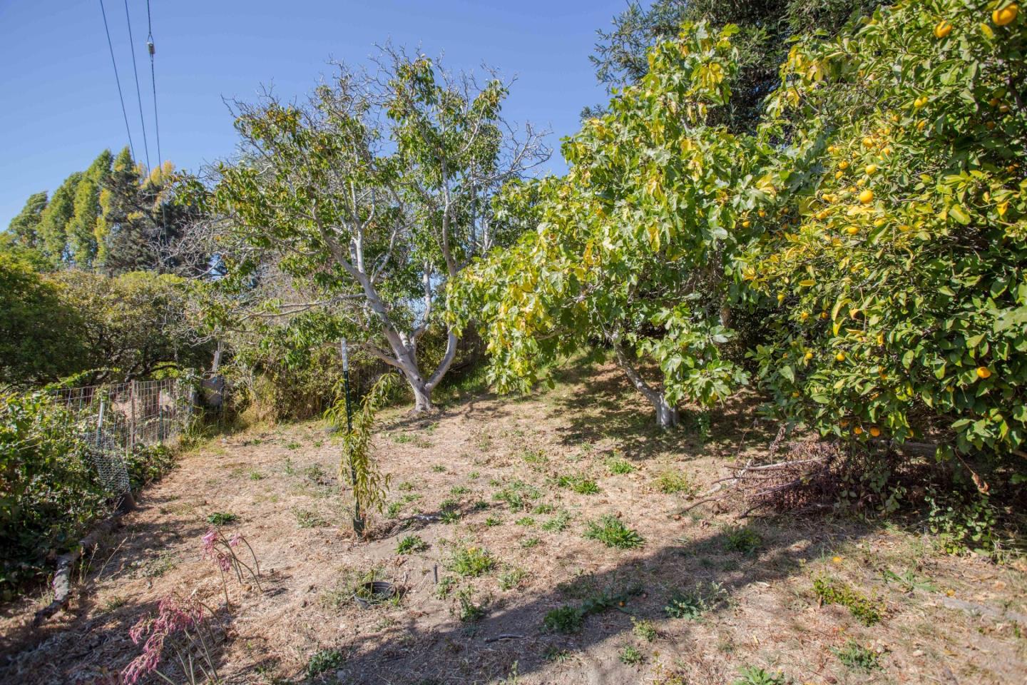 208 Arthur Road Watsonville, CA 95076 - Photo 14 of 16 Gallery Image 14