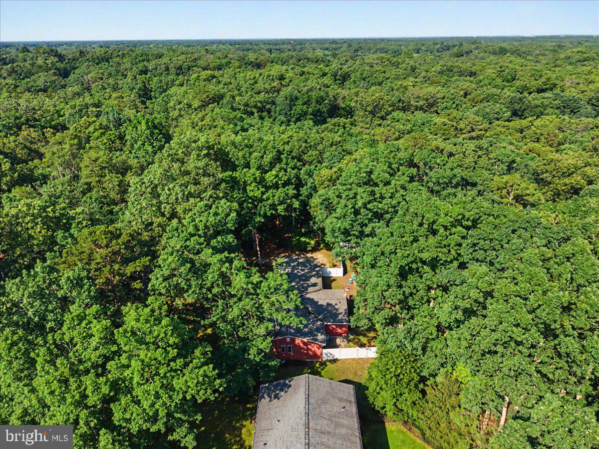 3 Blueberry Road Shamong, NJ 08088 - Photo 33 of 46