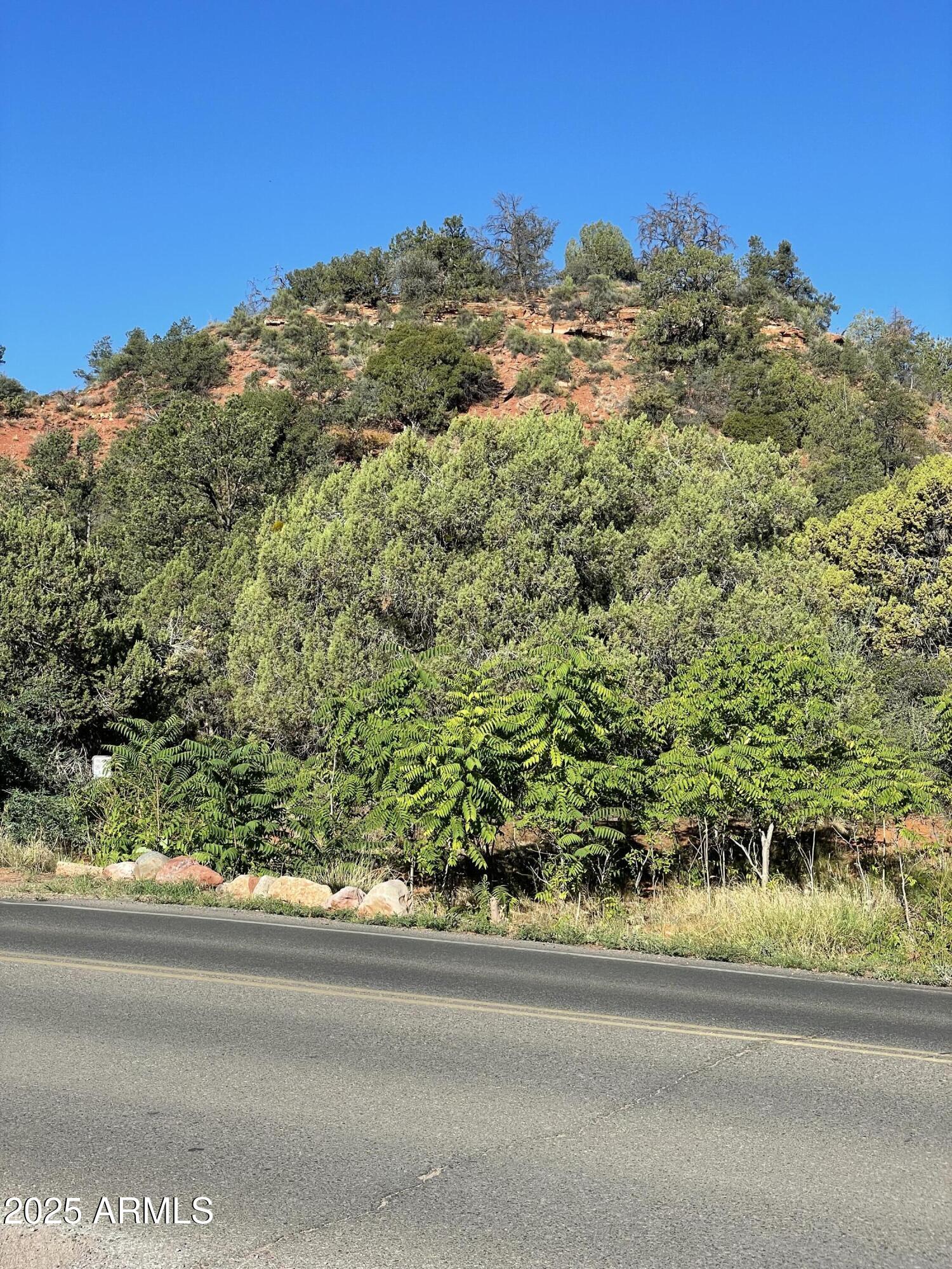 7 Parcels Brewer Road, Unit 6 1317 &CF LOT Sedona, AZ 86336 - Photo 45 of 51 a view of a yard with a tree