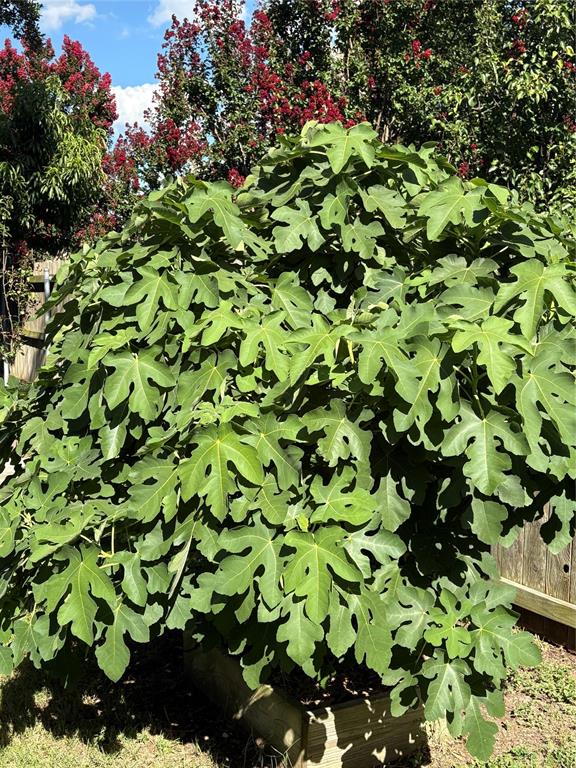 5620 Landsdown Drive Waco, TX 76708 - Photo 35 of 37