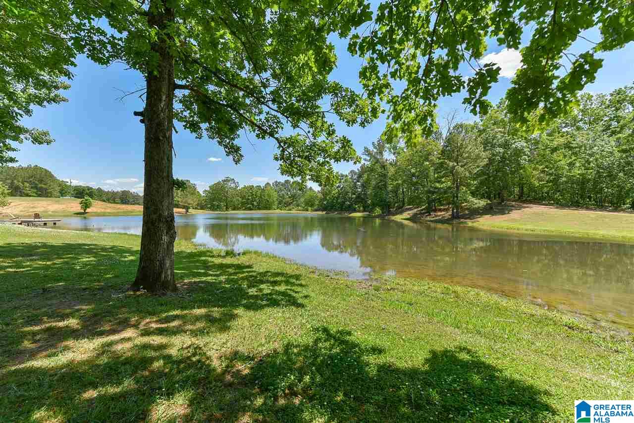 8461 Serene Lake Road McCalla, AL 35111 - Photo 12 of 50