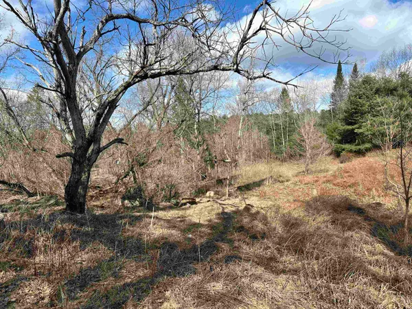 $36,000 | 0 Hodge Hill Road, Unit 59, Lisbon, NH 03585