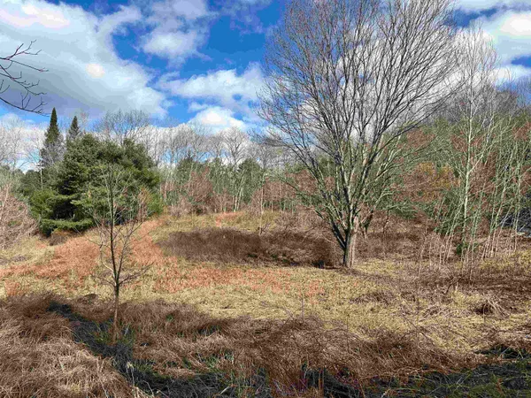 $36,000 | 0 Hodge Hill Road, Unit 59, Lisbon, NH 03585