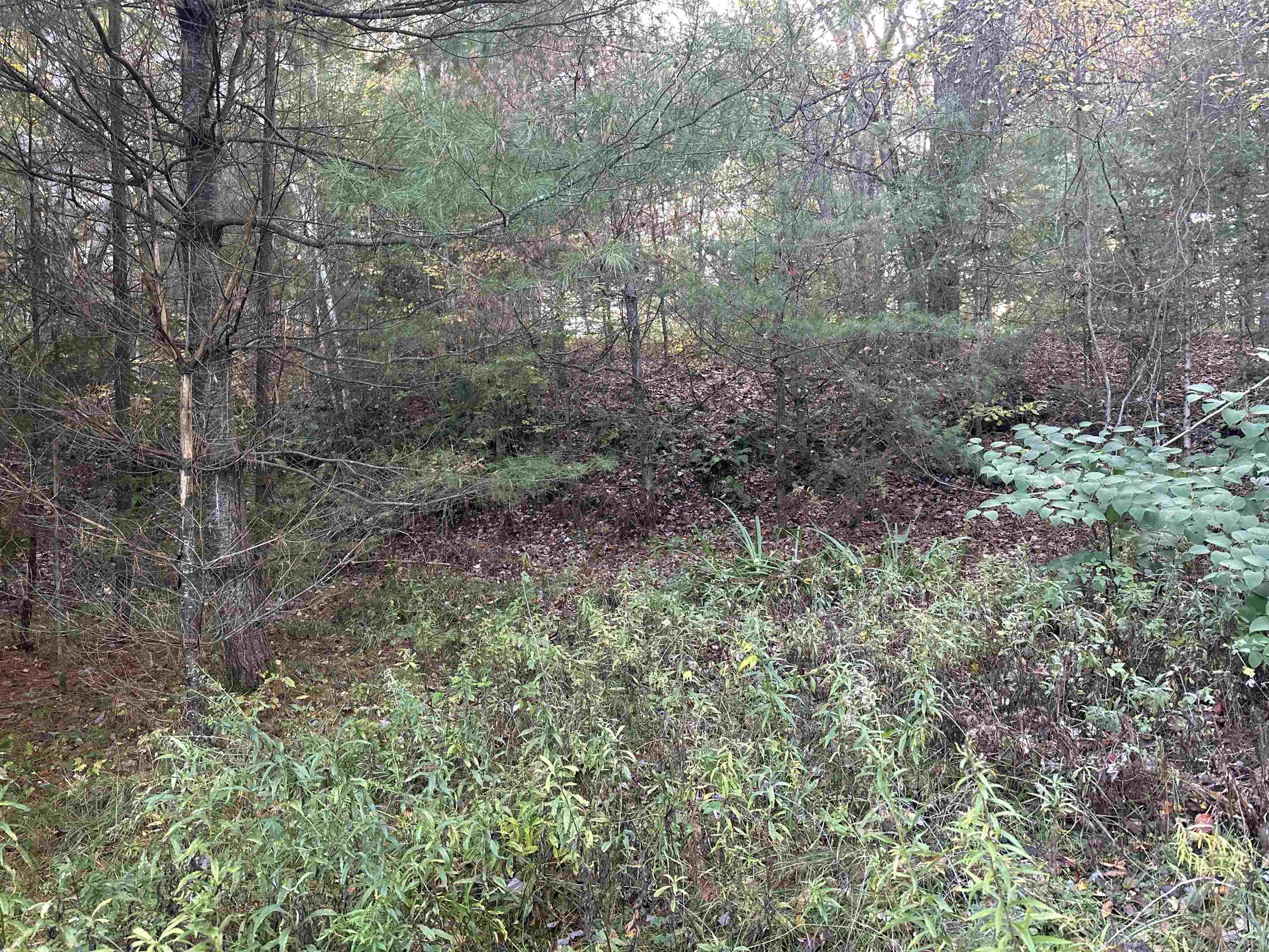 0 Hodge Hill Road, Unit 59 Lisbon, NH 03585 - Photo 4 of 4