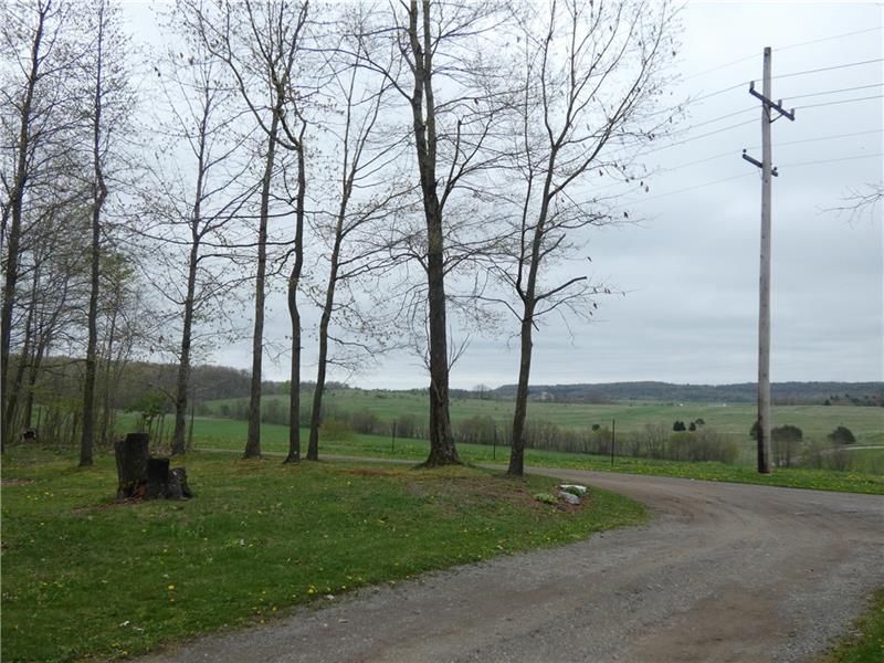 253 Cokain Road Harrisville, PA 16038 - Photo 20 of 25 Driveway