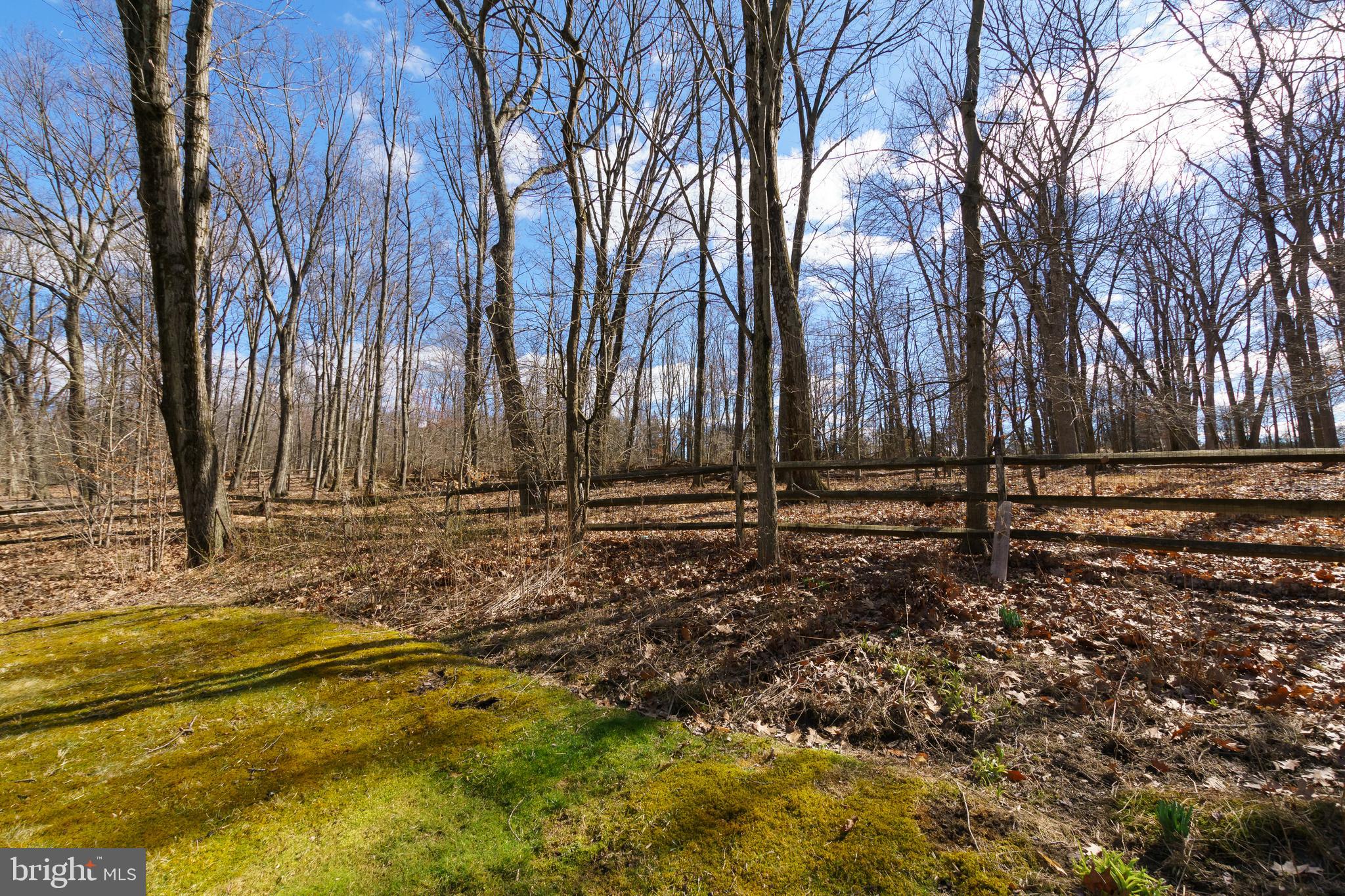 185 Rolling Hill Road Skillman, NJ 08558 - Photo 46 of 47