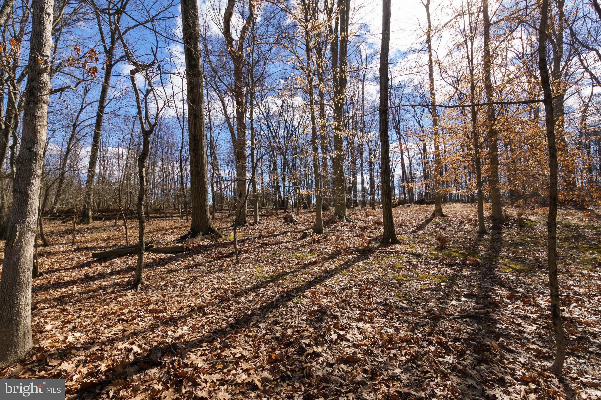 185 Rolling Hill Road Skillman, NJ 08558 - Photo 47 of 47