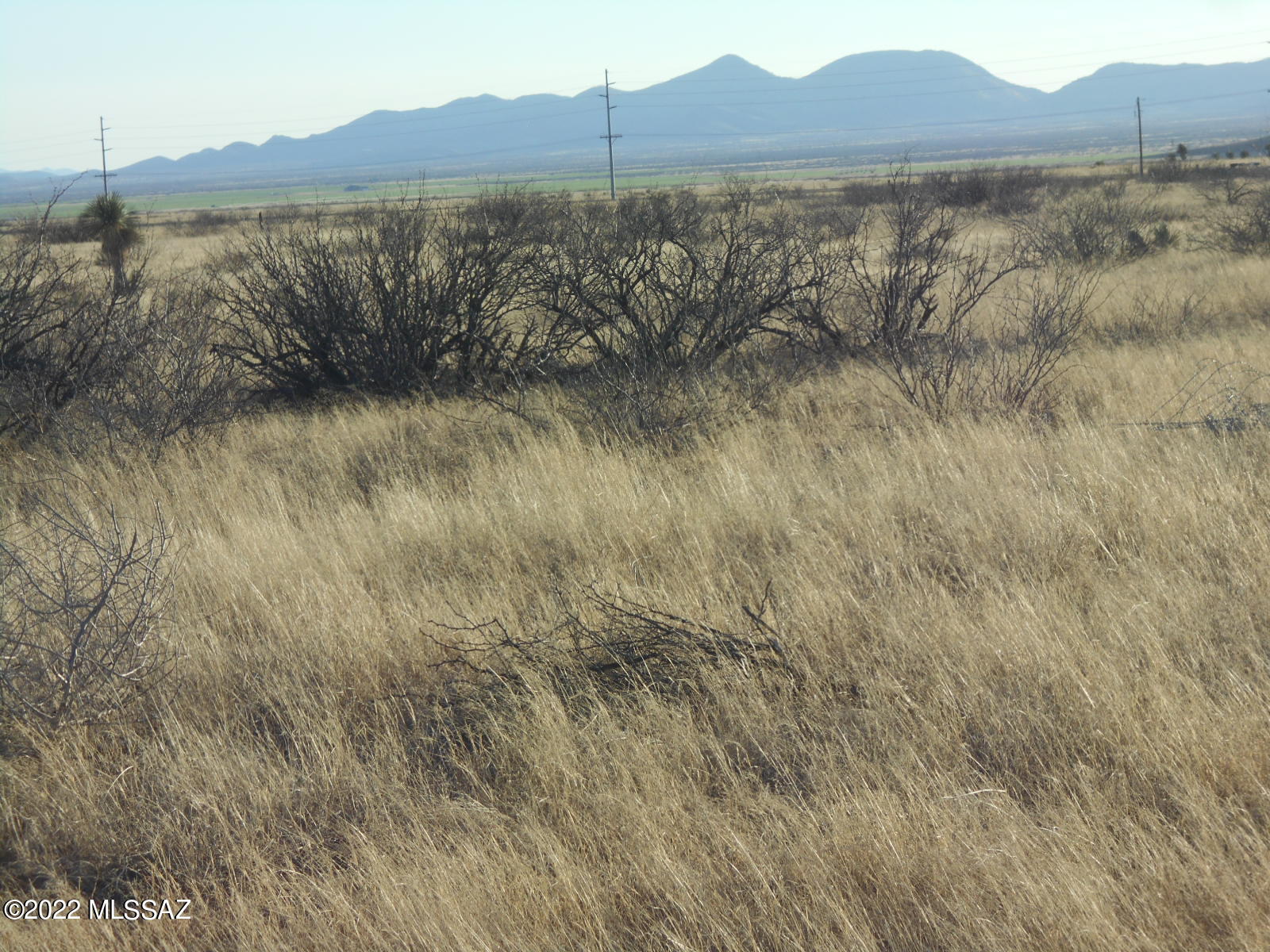 27.5 East Grassy Valley Road Elfrida, AZ 85610 - Photo 26 of 44