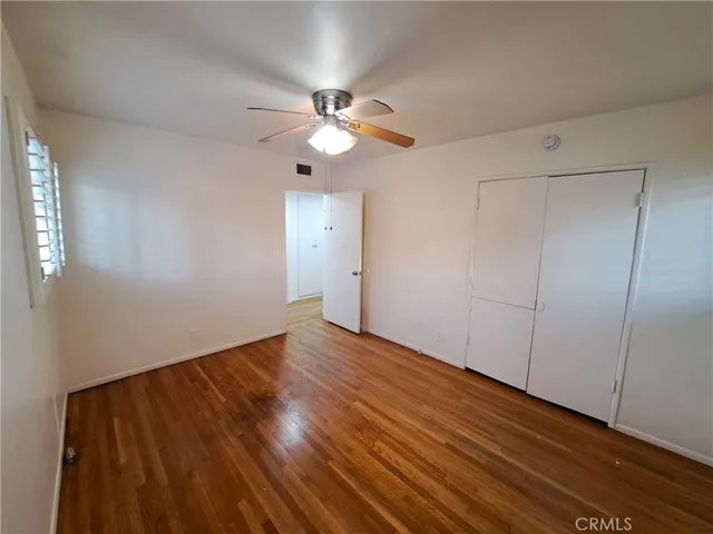 a view of a backyard with plants and a large tree