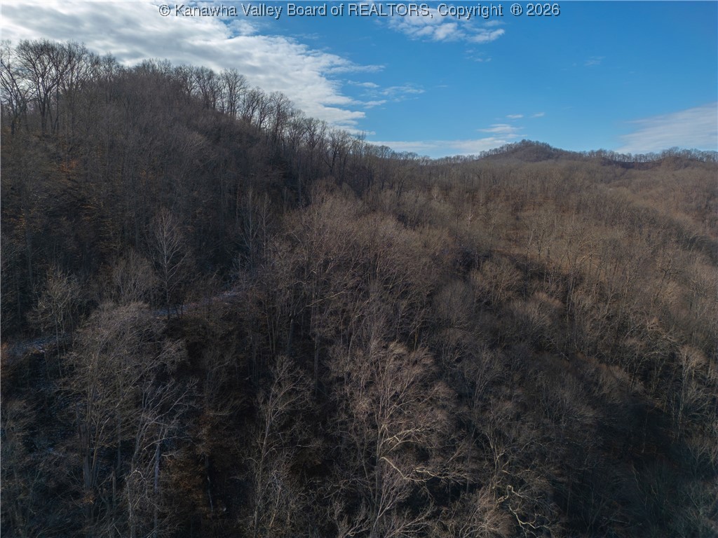 827 Caney Branch Road Chapmanville, WV 25508 - Photo 15 of 18 Gallery Image 15