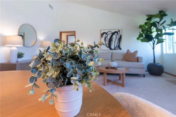 a living room with furniture flowerpot and a potted plant