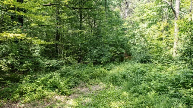 $75,000 | East Oak Ridge Lane, Gresham, WI 54128