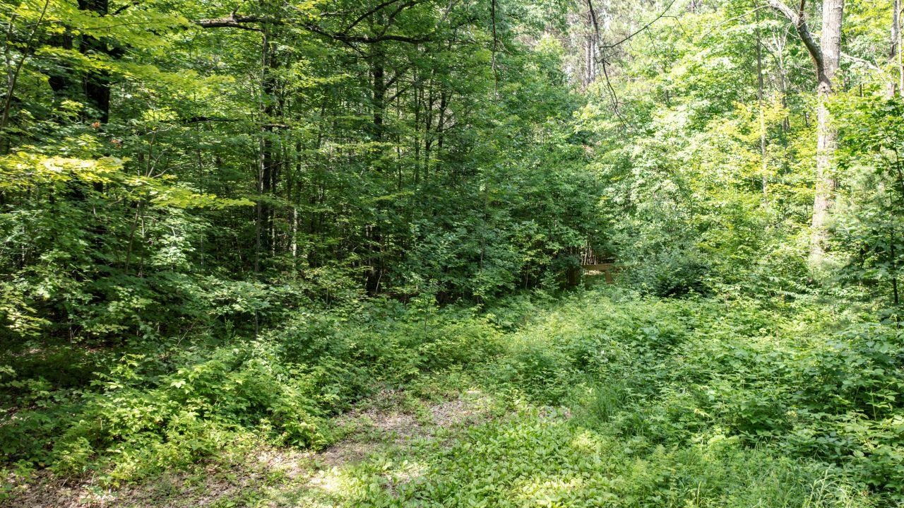 East Oak Ridge Lane Gresham, WI 54128 - Photo 15 of 17