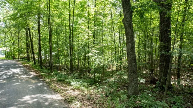 $75,000 | East Oak Ridge Lane, Gresham, WI 54128