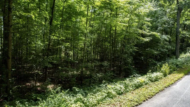 $75,000 | East Oak Ridge Lane, Gresham, WI 54128