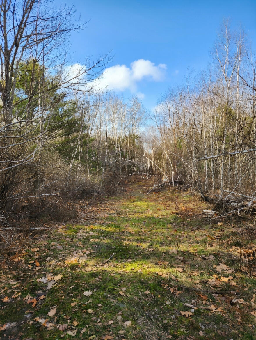 315 Golf Course Road Newport, ME 04953 - Photo 7 of 26