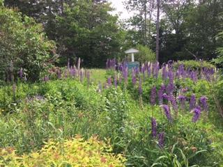 9 Porter Road Belfast, ME 04915 - Photo 24 of 44 fennell1