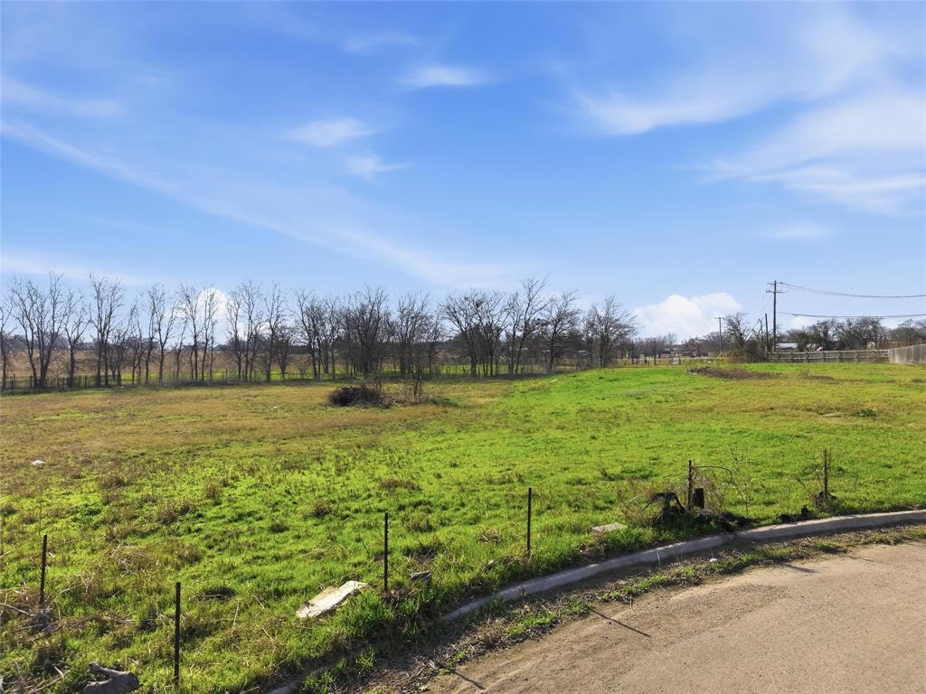Tbd Mini Road Lorena, TX 76655 - Photo 9 of 11 a view of a large body of water with a large tree